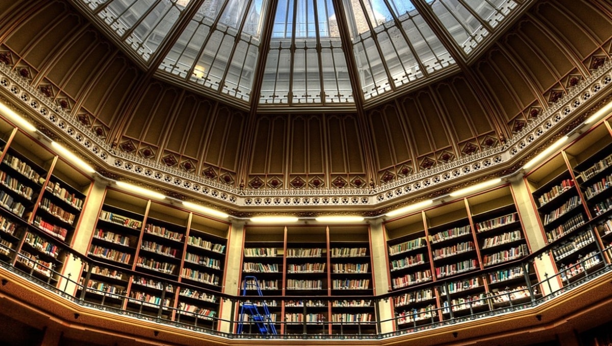 Representative groups for specific faculties or subject areas