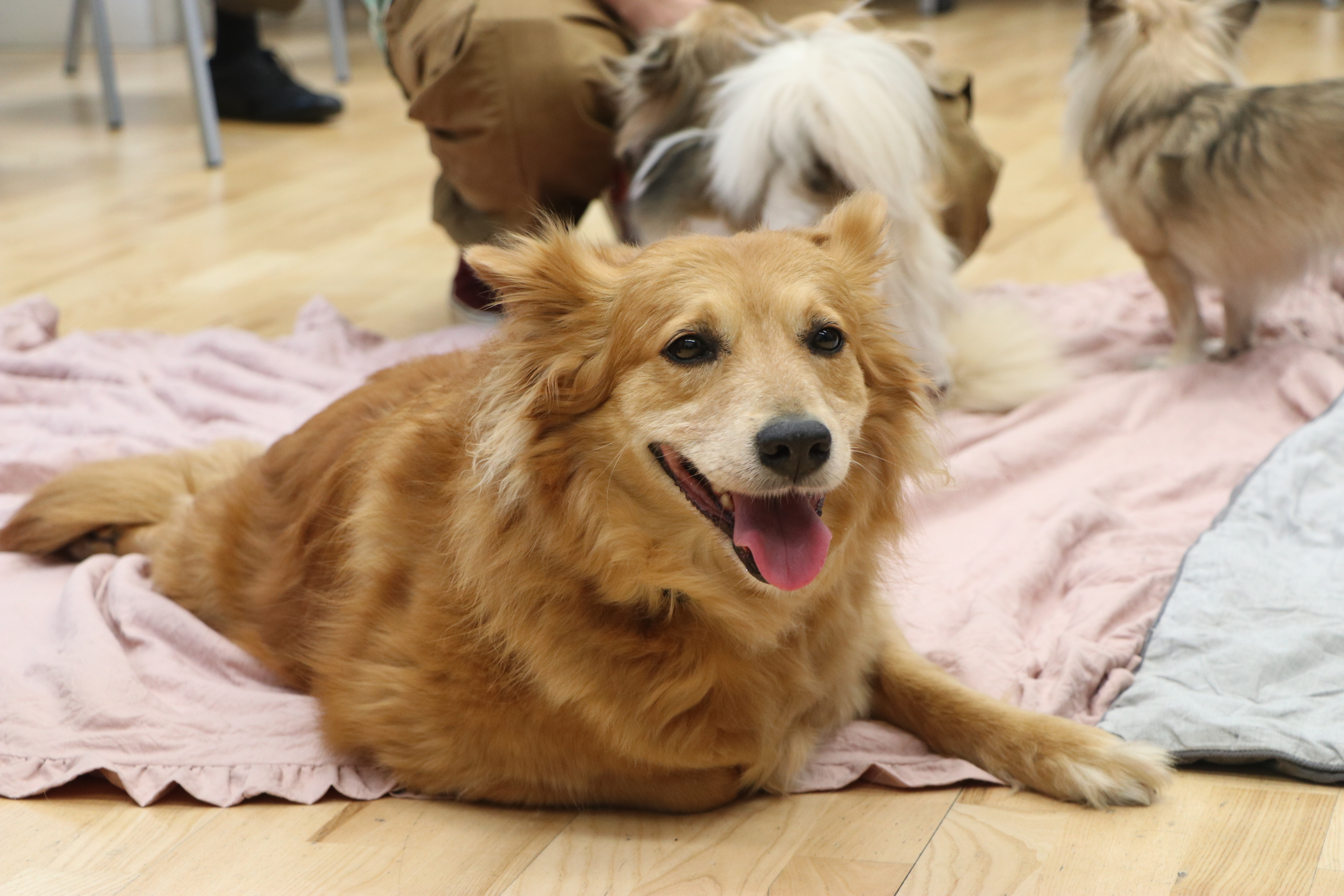Student smiling at camera